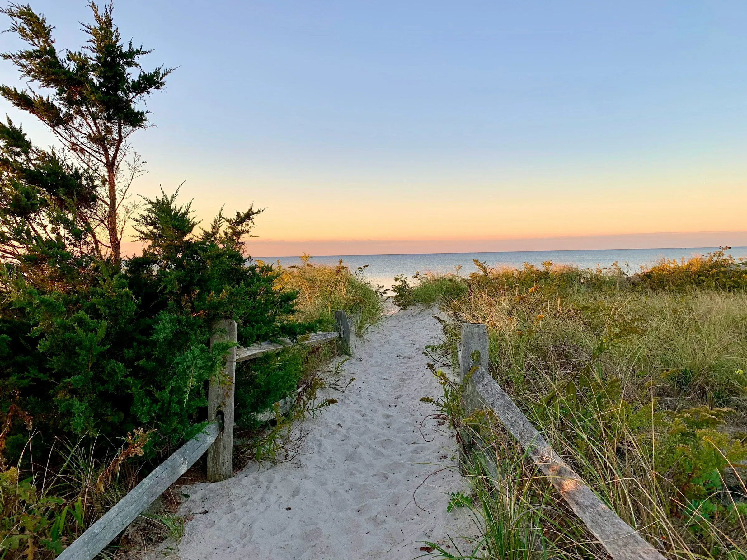 A sandy path through coastal grasses leading to a Cape Cod beach at sunset